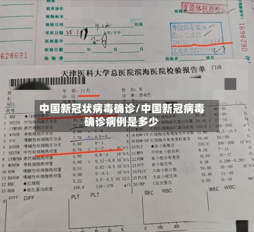 中国新冠状病毒确诊/中国新冠病毒确诊病例是多少-第2张图片