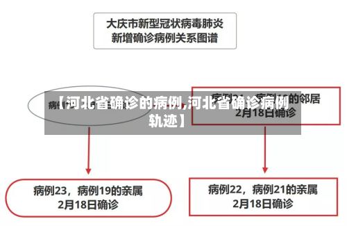 【河北省确诊的病例,河北省确诊病例轨迹】-第3张图片