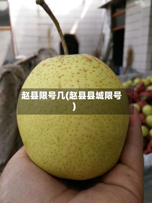 赵县限号几(赵县县城限号)