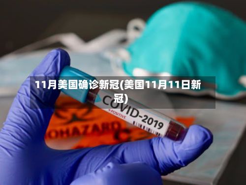 11月美国确诊新冠(美国11月11日新冠)-第2张图片
