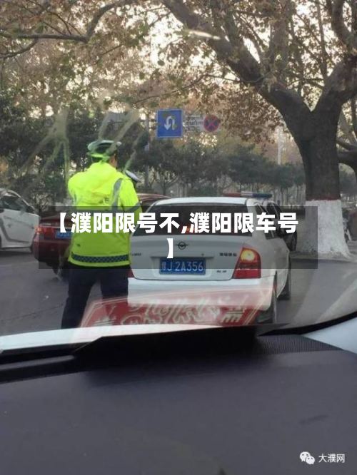 【濮阳限号不,濮阳限车号】