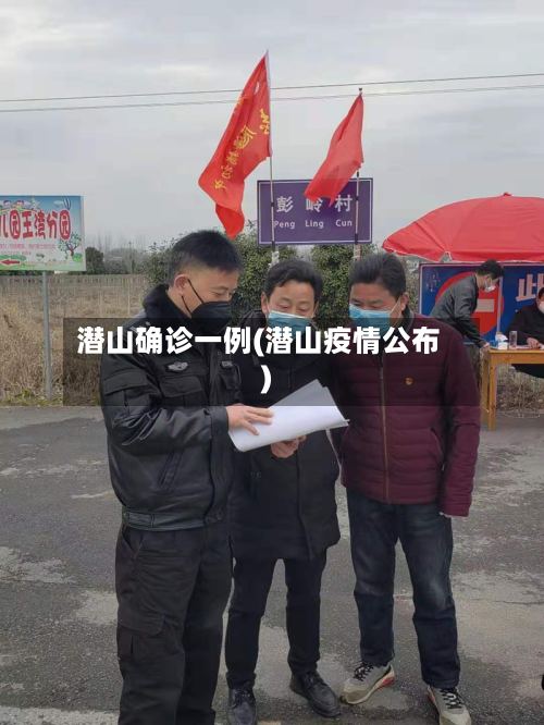潜山确诊一例(潜山疫情公布)