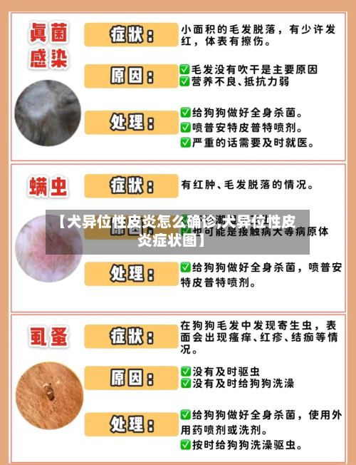 【犬异位性皮炎怎么确诊,犬异位性皮炎症状图】