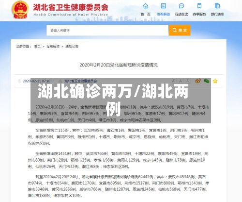湖北确诊两万/湖北两例