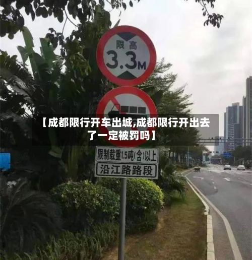 【成都限行开车出城,成都限行开出去了一定被罚吗】-第2张图片