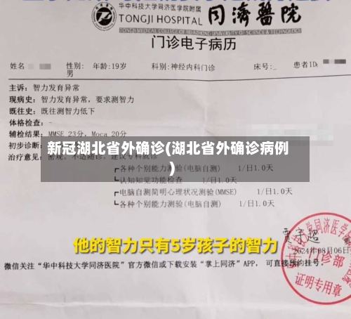 新冠湖北省外确诊(湖北省外确诊病例)-第2张图片