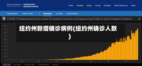 纽约州新增确诊病例(纽约州确诊人数)-第3张图片