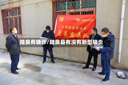 陆良有确诊/陆良县有没有新型肺炎