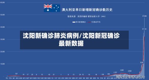 沈阳新确诊肺炎病例/沈阳新冠确诊最新数据-第3张图片