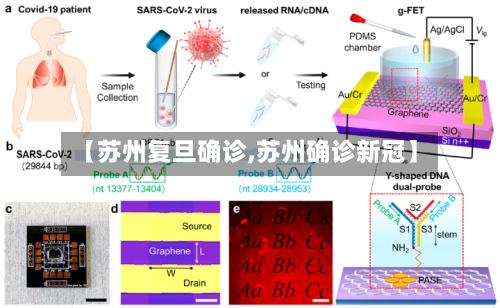 【苏州复旦确诊,苏州确诊新冠】-第2张图片