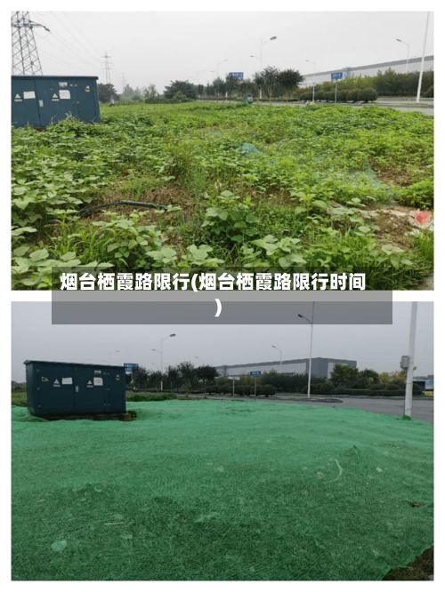烟台栖霞路限行(烟台栖霞路限行时间)-第3张图片