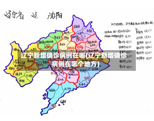 辽宁新增确诊病例在哪(辽宁新增确诊病例在哪个地方)