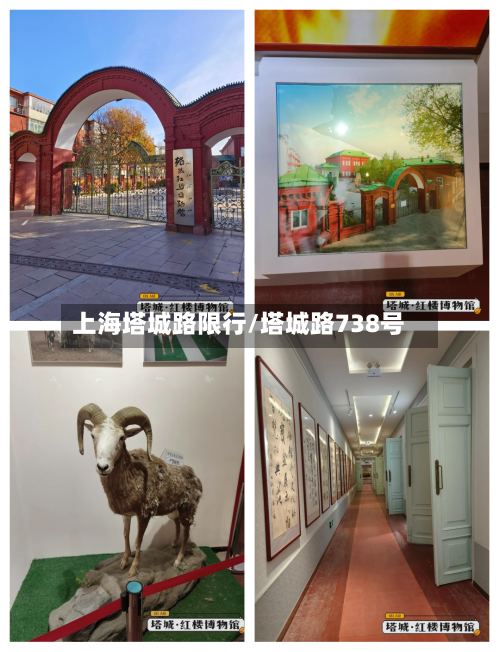 上海塔城路限行/塔城路738号