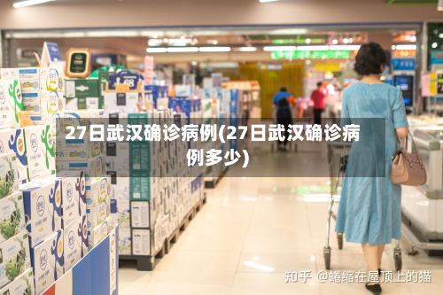 27日武汉确诊病例(27日武汉确诊病例多少)