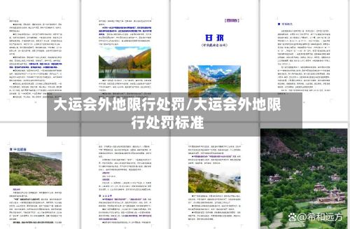 大运会外地限行处罚/大运会外地限行处罚标准