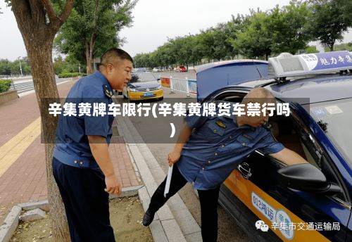 辛集黄牌车限行(辛集黄牌货车禁行吗)-第2张图片