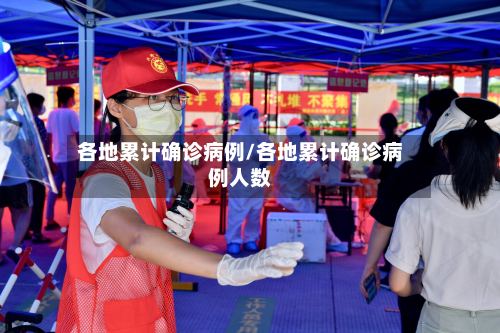 各地累计确诊病例/各地累计确诊病例人数