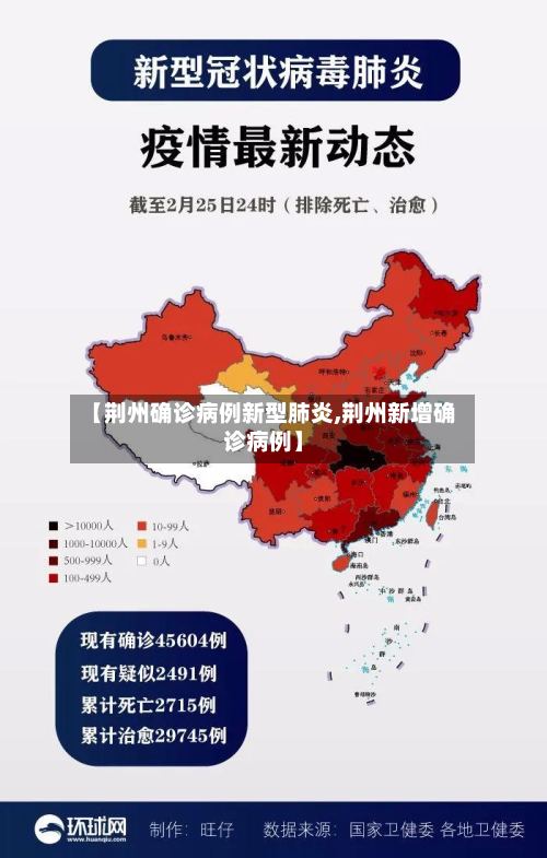 【荆州确诊病例新型肺炎,荆州新增确诊病例】-第2张图片
