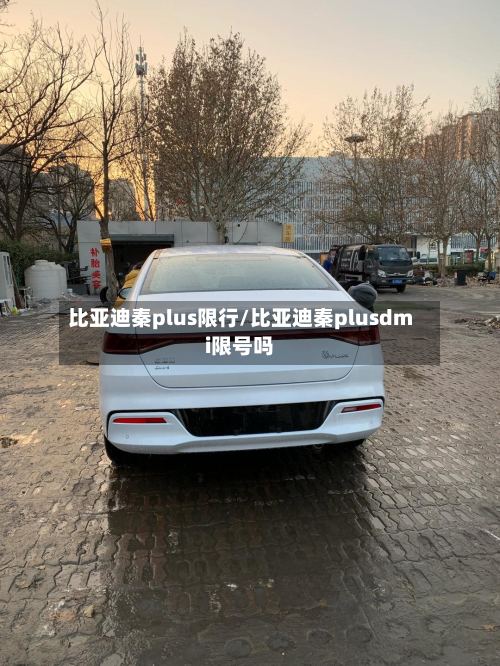 比亚迪秦plus限行/比亚迪秦plusdmi限号吗