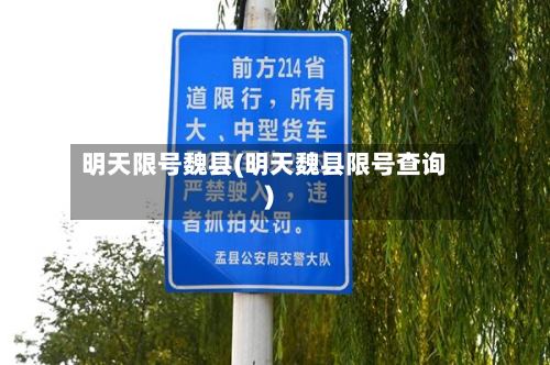 明天限号魏县(明天魏县限号查询)-第2张图片