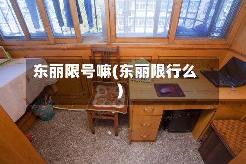 东丽限号嘛(东丽限行么)