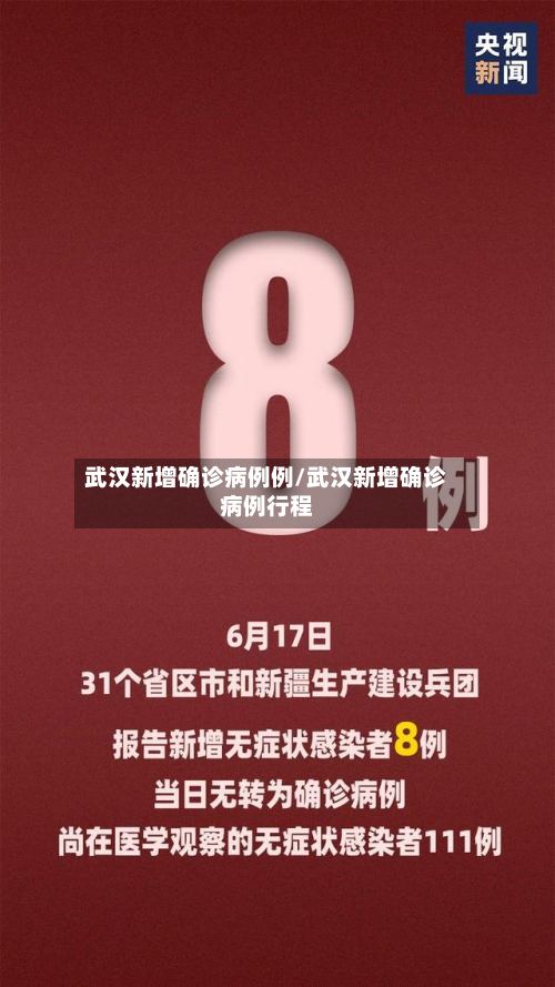 武汉新增确诊病例例/武汉新增确诊病例行程