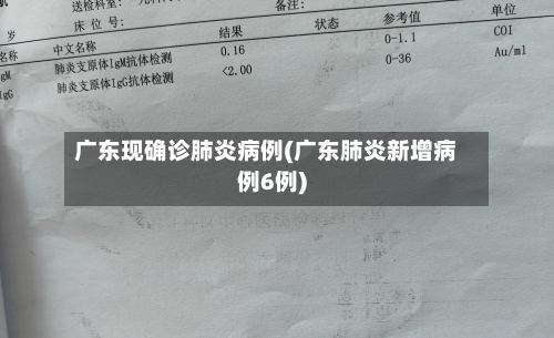 广东现确诊肺炎病例(广东肺炎新增病例6例)