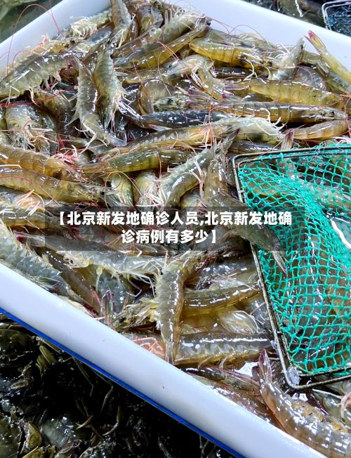 【北京新发地确诊人员,北京新发地确诊病例有多少】