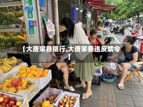 【大唐家巷限行,大唐家巷违反禁令】
