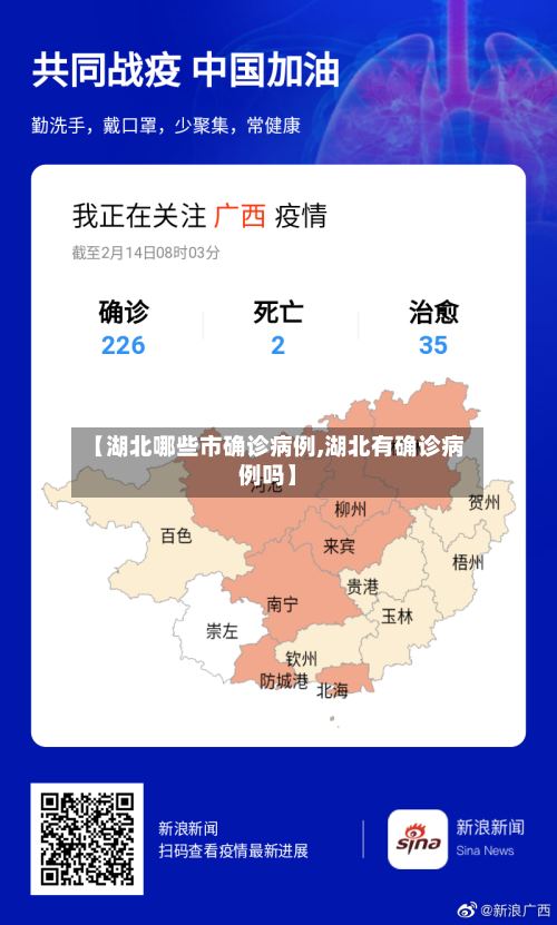 【湖北哪些市确诊病例,湖北有确诊病例吗】-第2张图片