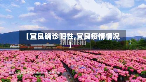 【宜良确诊阳性,宜良疫情情况】