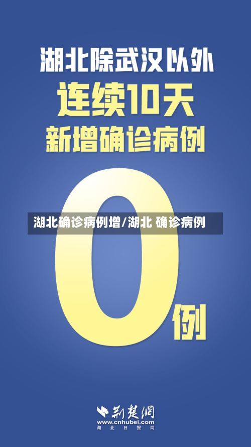 湖北确诊病例增/湖北 确诊病例
