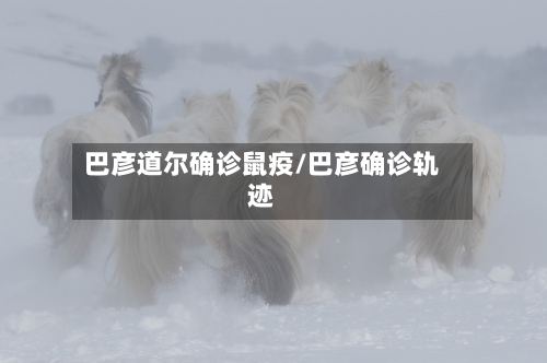 巴彦道尔确诊鼠疫/巴彦确诊轨迹