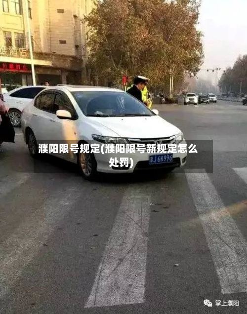濮阳限号规定(濮阳限号新规定怎么处罚)-第2张图片