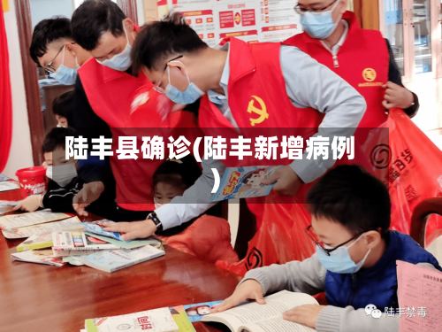 陆丰县确诊(陆丰新增病例)-第2张图片