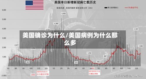 美国确诊为什么/美国病例为什么那么多