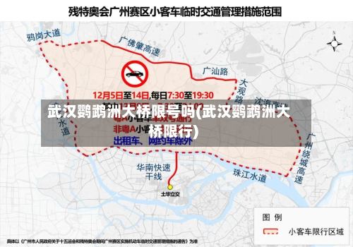 武汉鹦鹉洲大桥限号吗(武汉鹦鹉洲大桥限行)