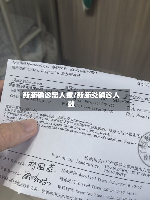 新肺确诊总人数/新肺炎确诊人数