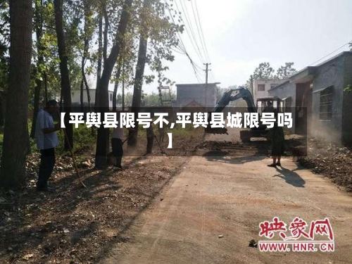 【平舆县限号不,平舆县城限号吗】-第3张图片