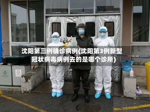 沈阳第三例确诊病例(沈阳第3例新型冠状病毒病例去的是哪个诊所)-第3张图片