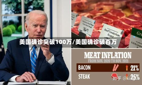 美国确诊突破100万/美国确诊破百万-第3张图片