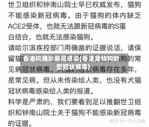 香港狗确诊新冠感染(香港宠物狗新型冠状病毒)-第3张图片