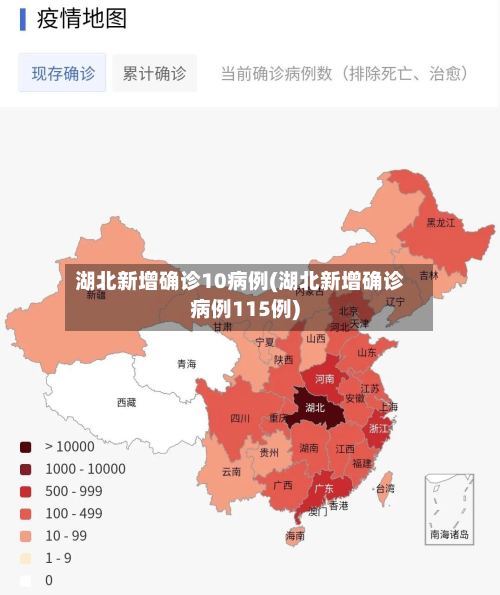 湖北新增确诊10病例(湖北新增确诊病例115例)-第3张图片