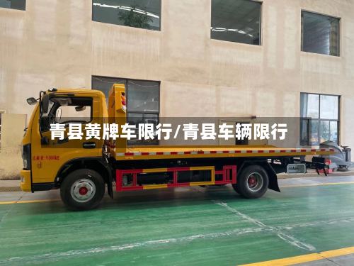 青县黄牌车限行/青县车辆限行-第2张图片