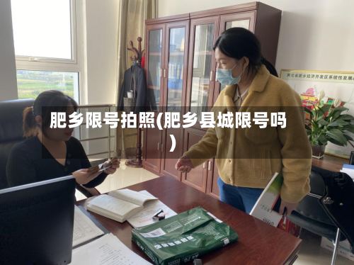 肥乡限号拍照(肥乡县城限号吗)-第2张图片