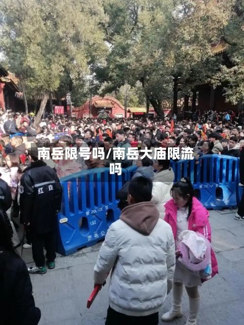 南岳限号吗/南岳大庙限流吗-第3张图片