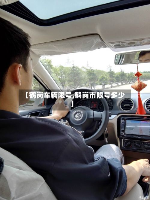 【鹤岗车辆限号,鹤岗市限号多少】-第2张图片