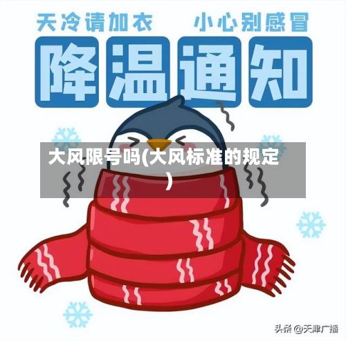 大风限号吗(大风标准的规定)-第2张图片