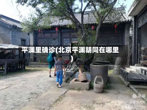 平渊里确诊(北京平渊胡同在哪里)-第2张图片