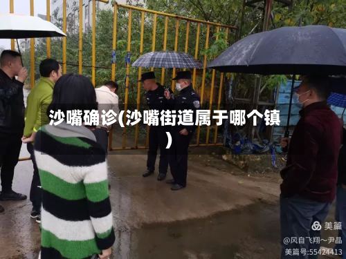 沙嘴确诊(沙嘴街道属于哪个镇)-第3张图片